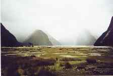 Milford Sound